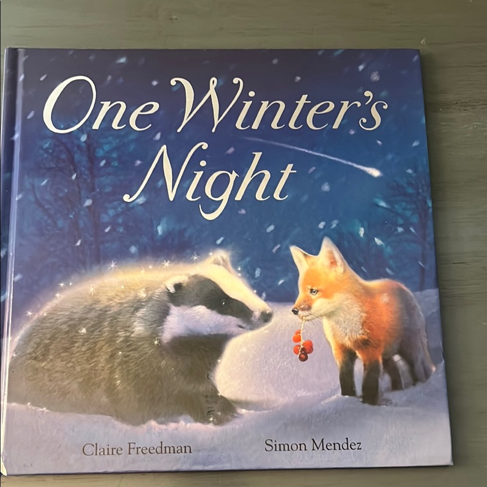 One Winter's Night Hardcover – January 1, 2009 by Claire Freedman EUC